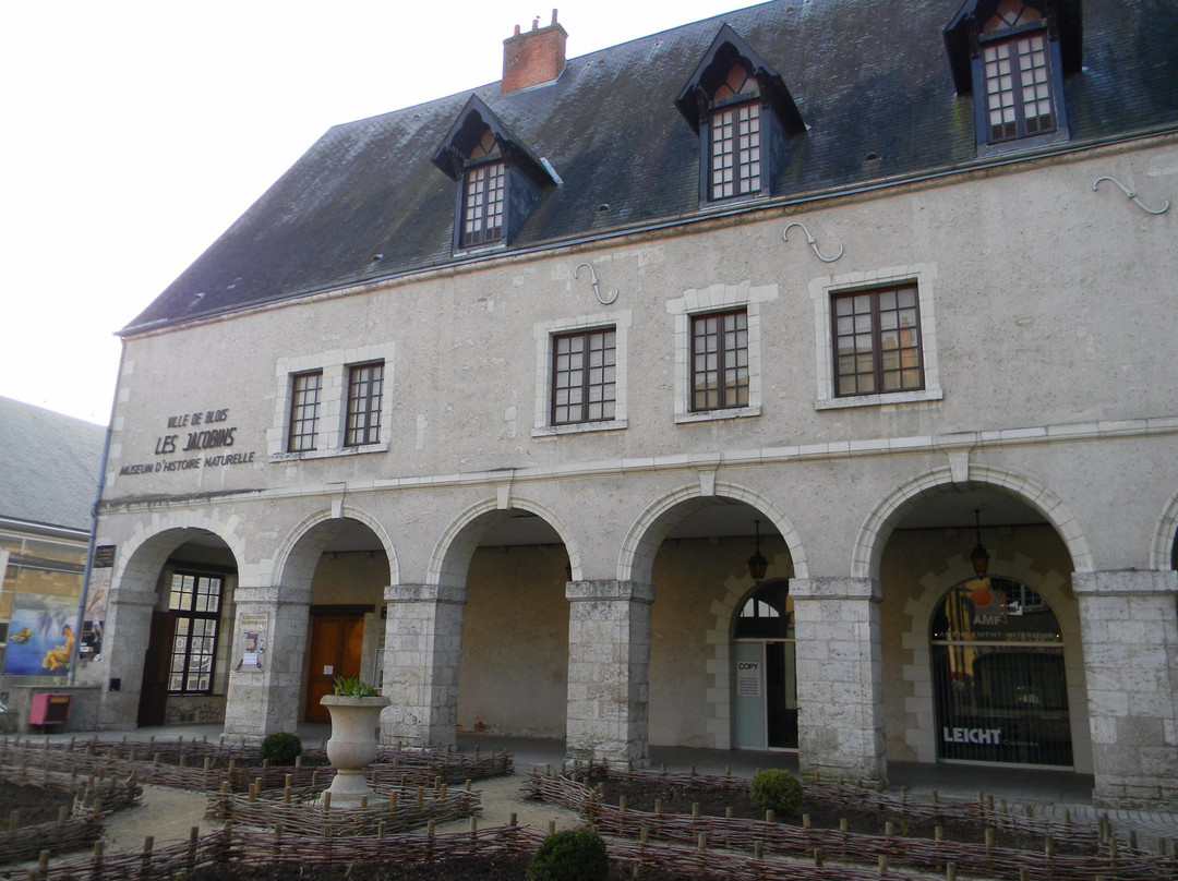 Muséum d'Histoire Naturelle景点图片