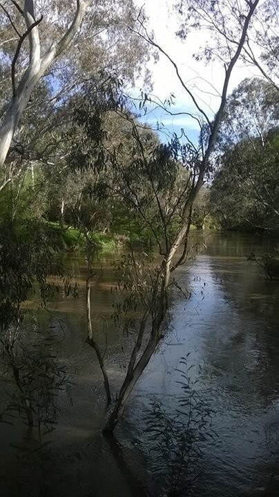 Yarra Flats Park景点图片