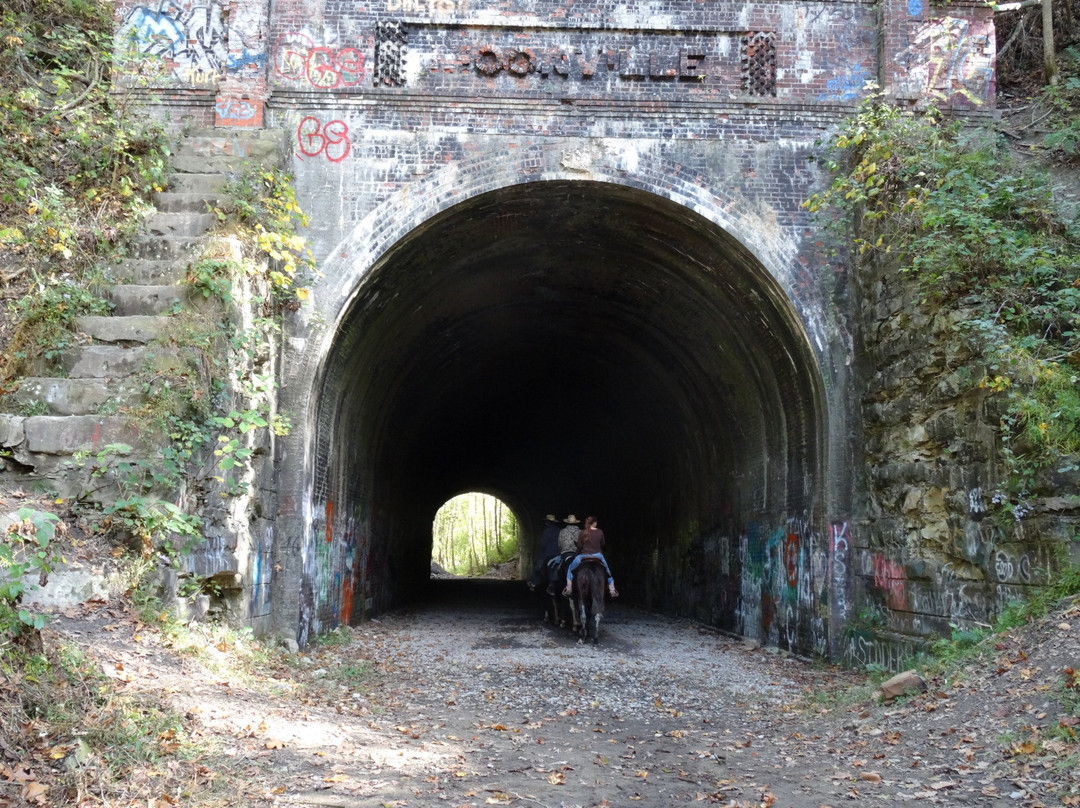 Zaleski State Forest-Zaleski必去景点