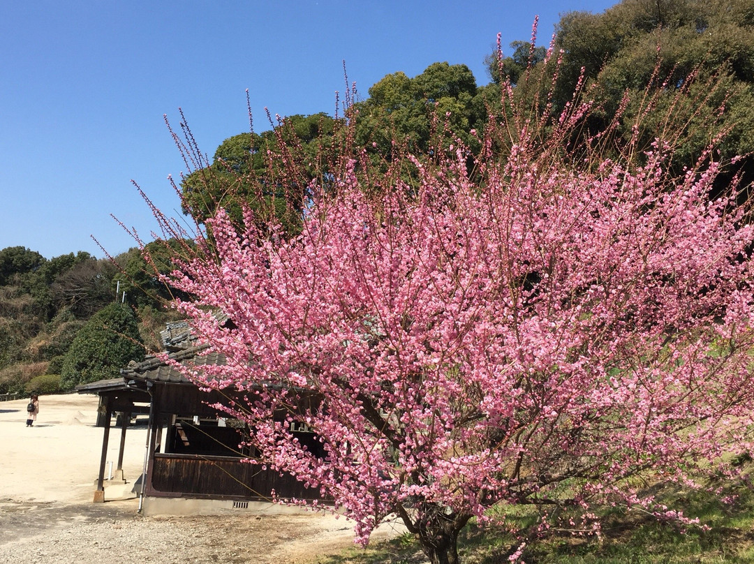 Ushinoo Shrine-小城市必去景点