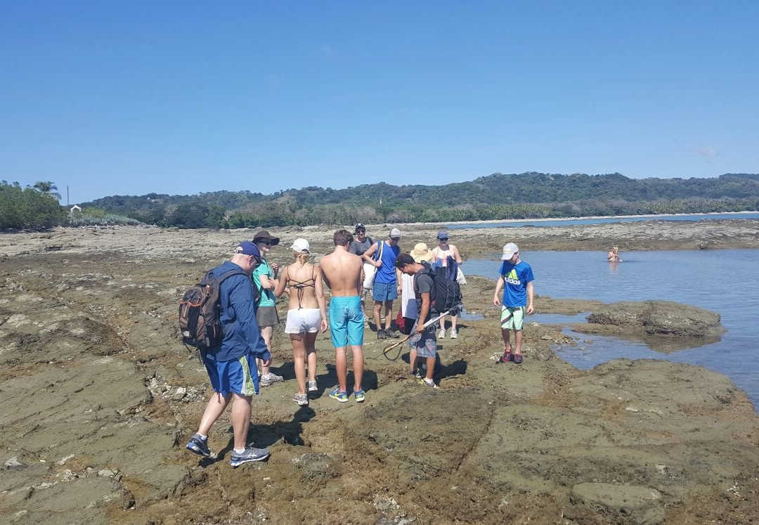 Cabuya Tours & Rentals景点图片