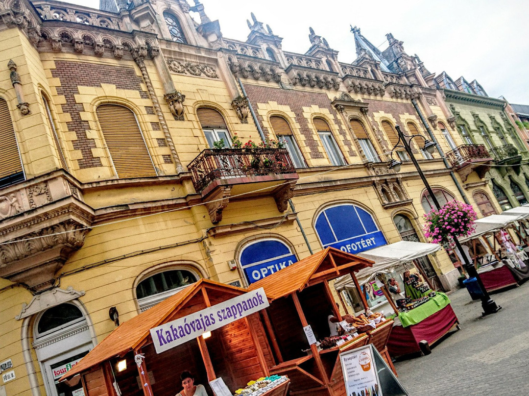 Kaposvar Plaza景点图片