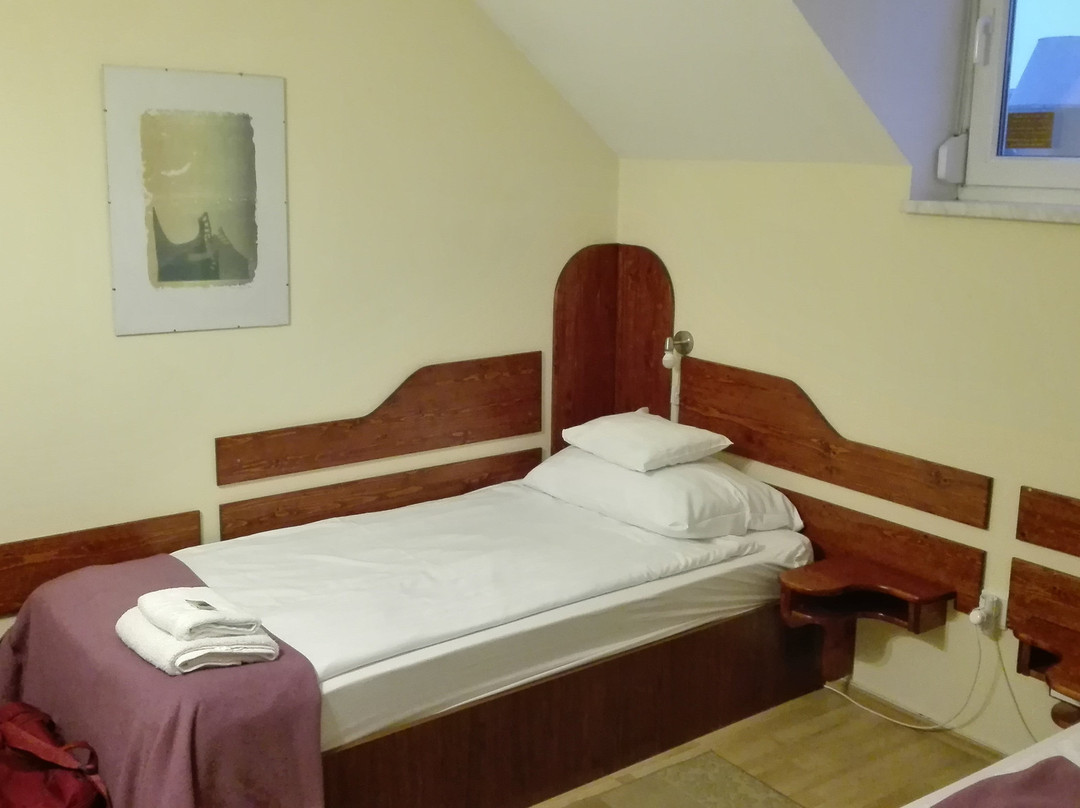 Hotel Szent Gyorgy Fogado主图
