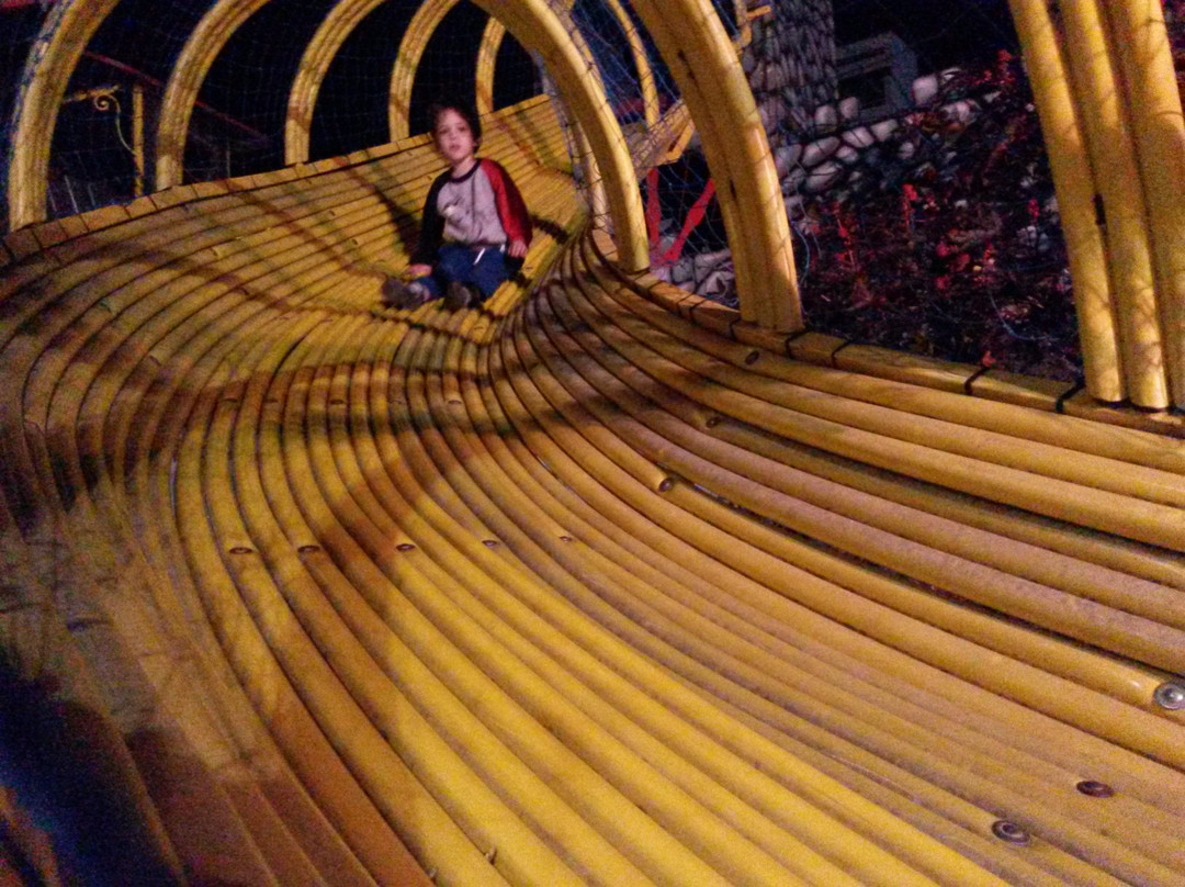 Juegos Bambi-San Bernardo必去景点