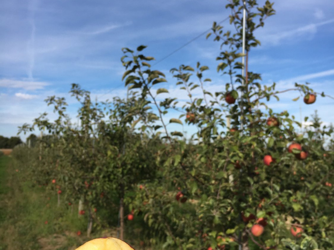 Tuttle Orchards-Greenfield必去景点