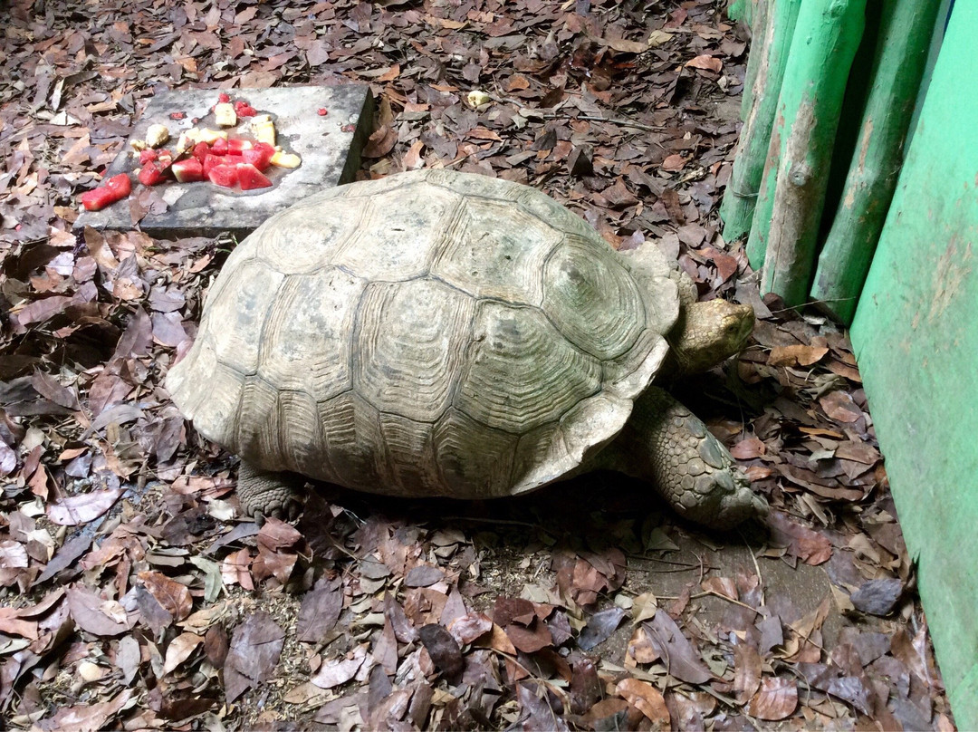 Ark Avilon Zoo-巴石必去景点