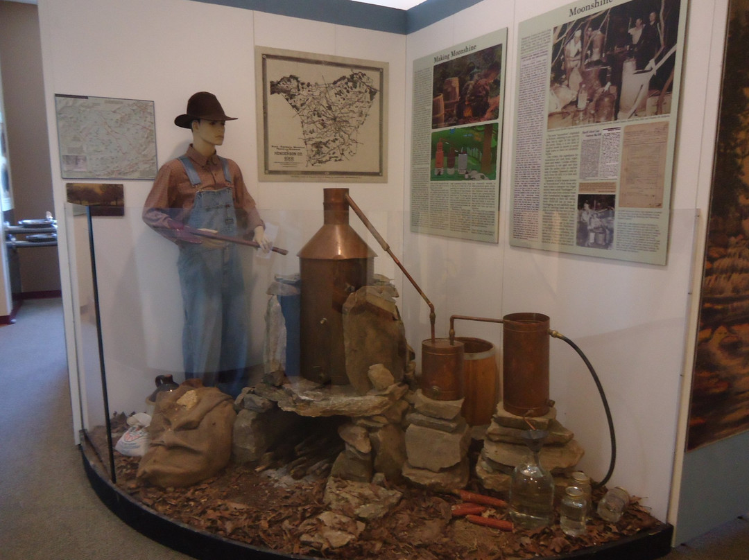 Henderson Heritage Museum景点图片