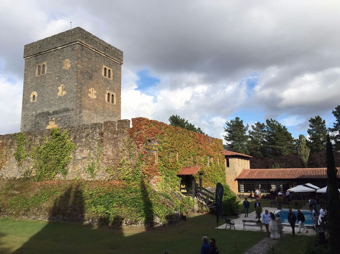 Museo de Coches Clasicos y Antiguos Torre Loizaga景点图片