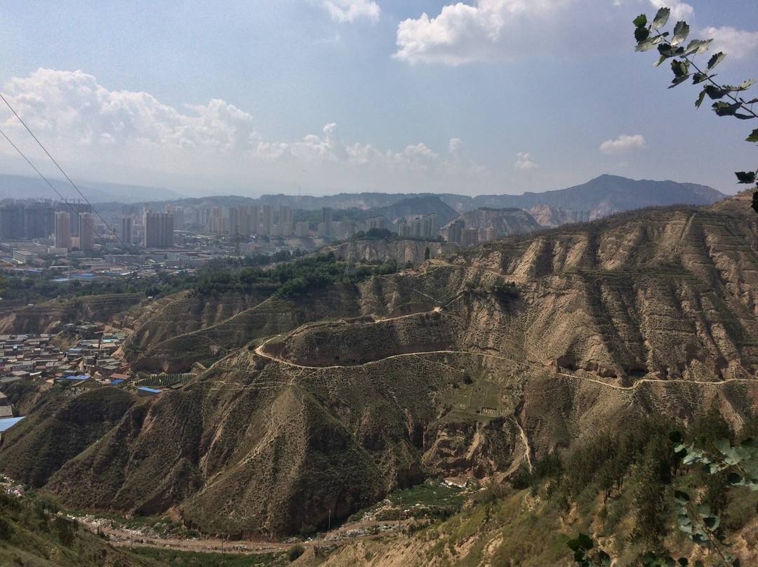 徐家山国家森林公园景点图片