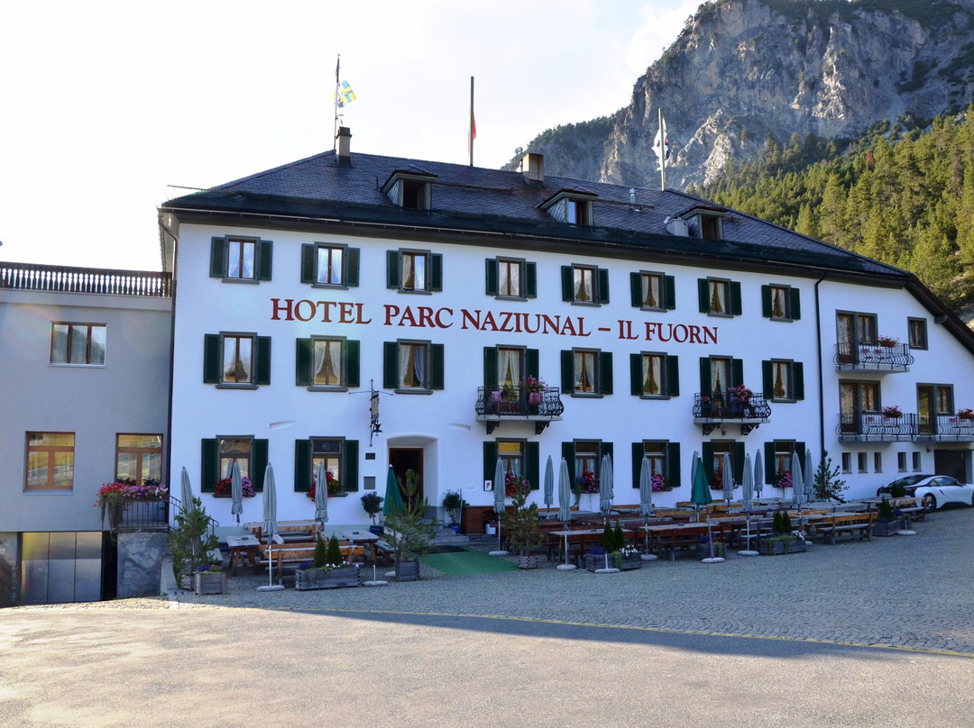 Zernez酒店住宿-Hotel Parc Naziunal