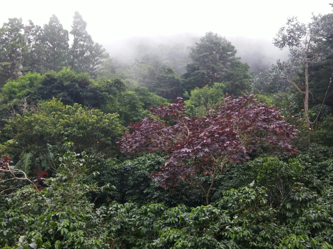 Explora Ya Eco-Tours & Adventure Travel Day Trips景点图片