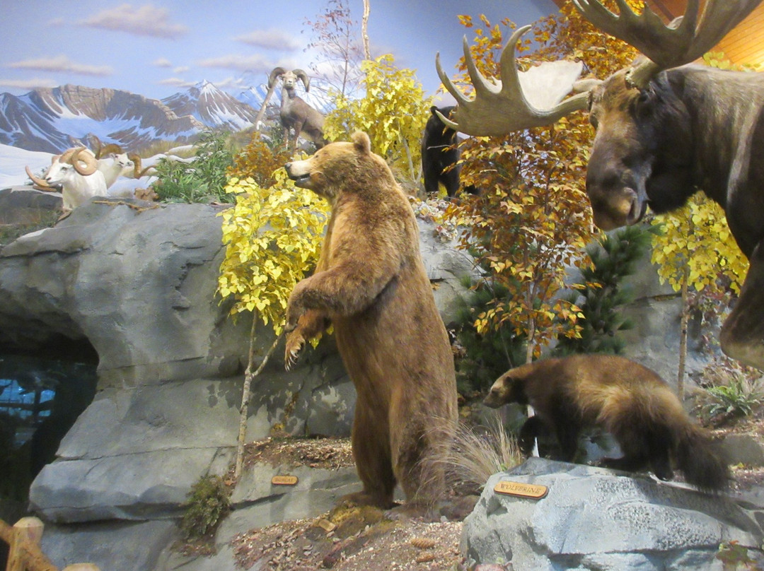 Cabela's. Tulalip Washington景点图片