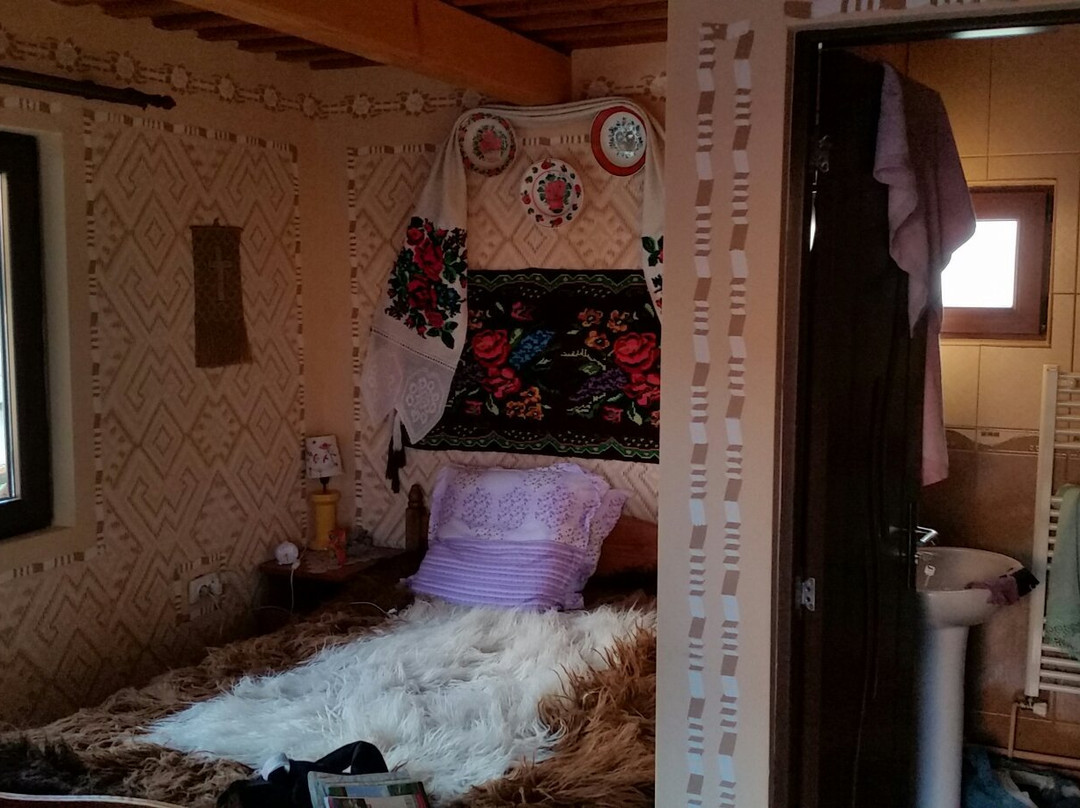 Pensiunea Lia Barsana主图