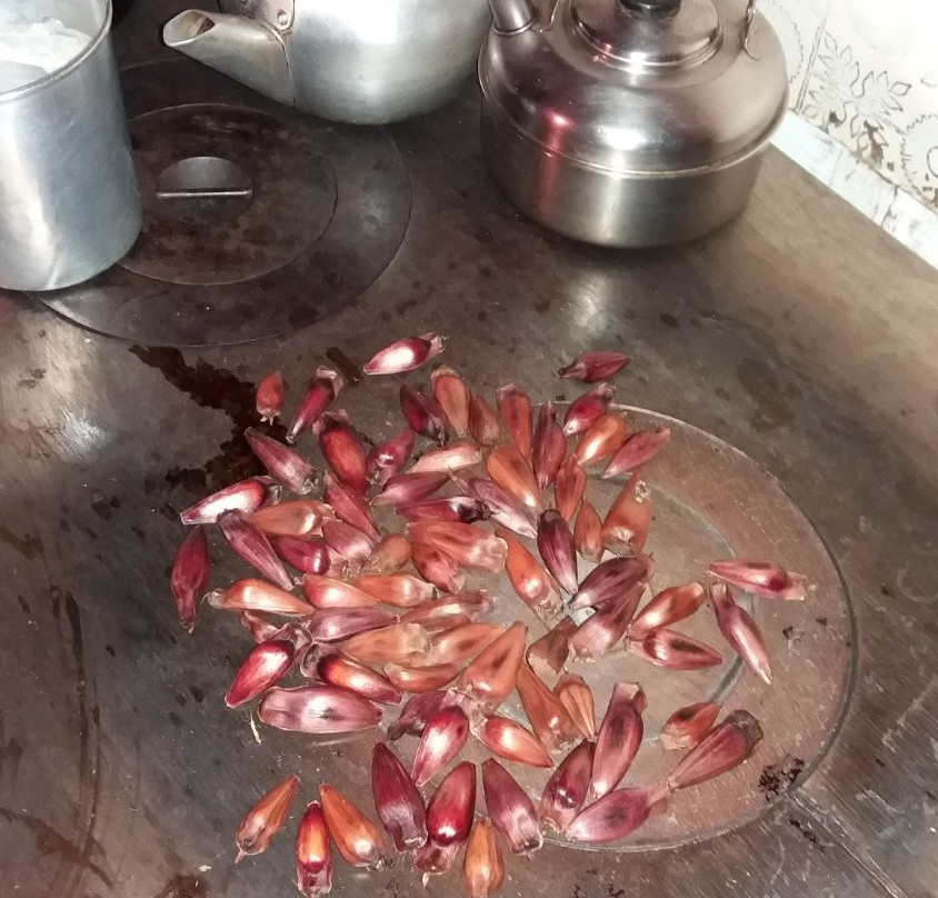 Sítio da Tia Júlia-Tibagi必去景点