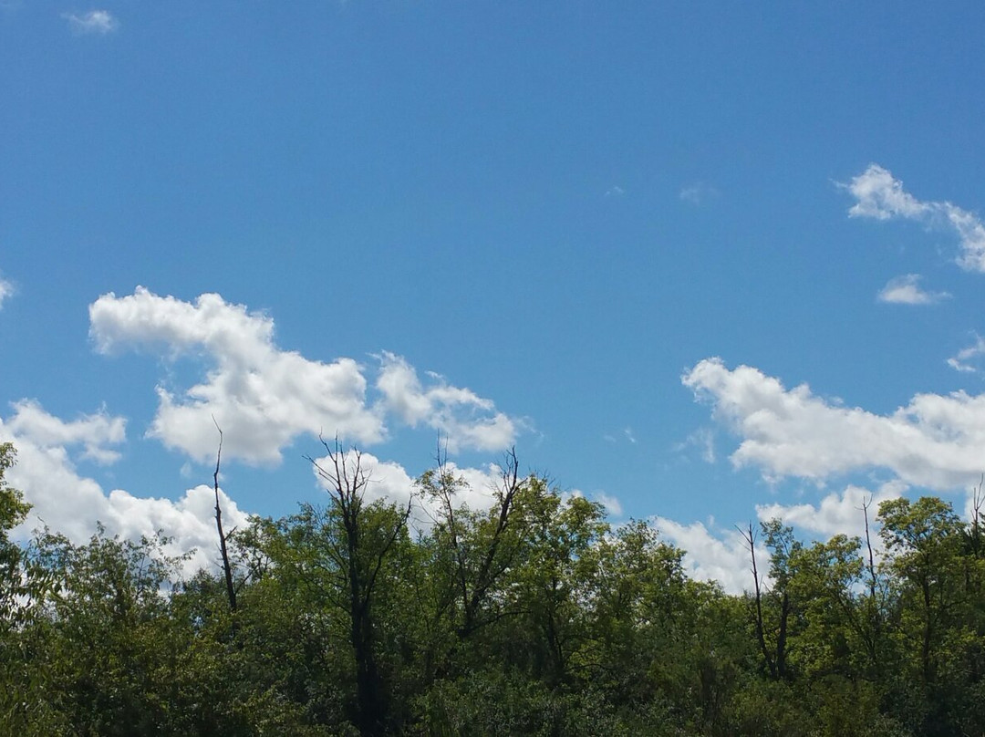 Deer Grove West-巴拉汀必去景点