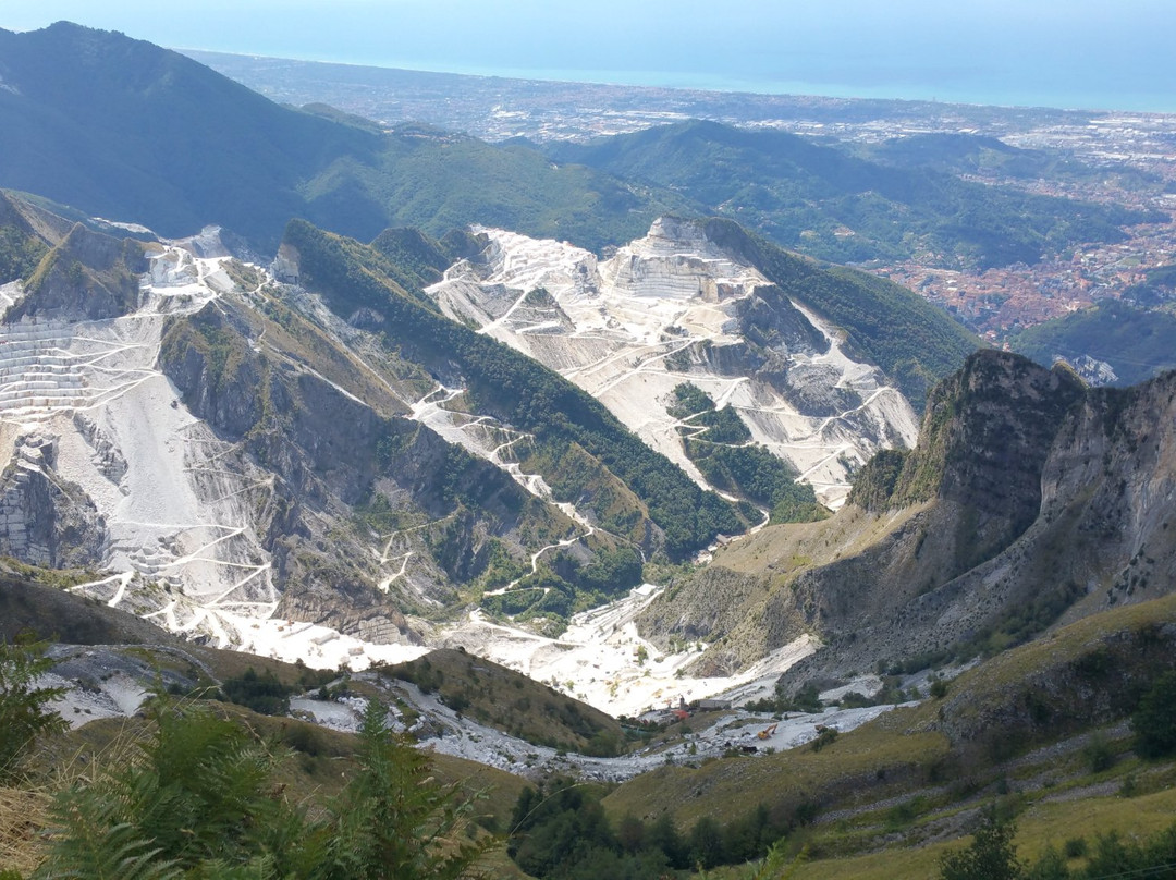Campocecina Carrara Ms景点图片