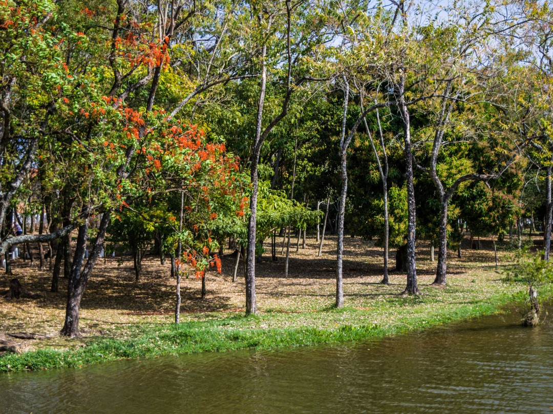Lago Municipal de Espírito Santo do Pinhal-Espirito Santo Do Pinhal必去景点