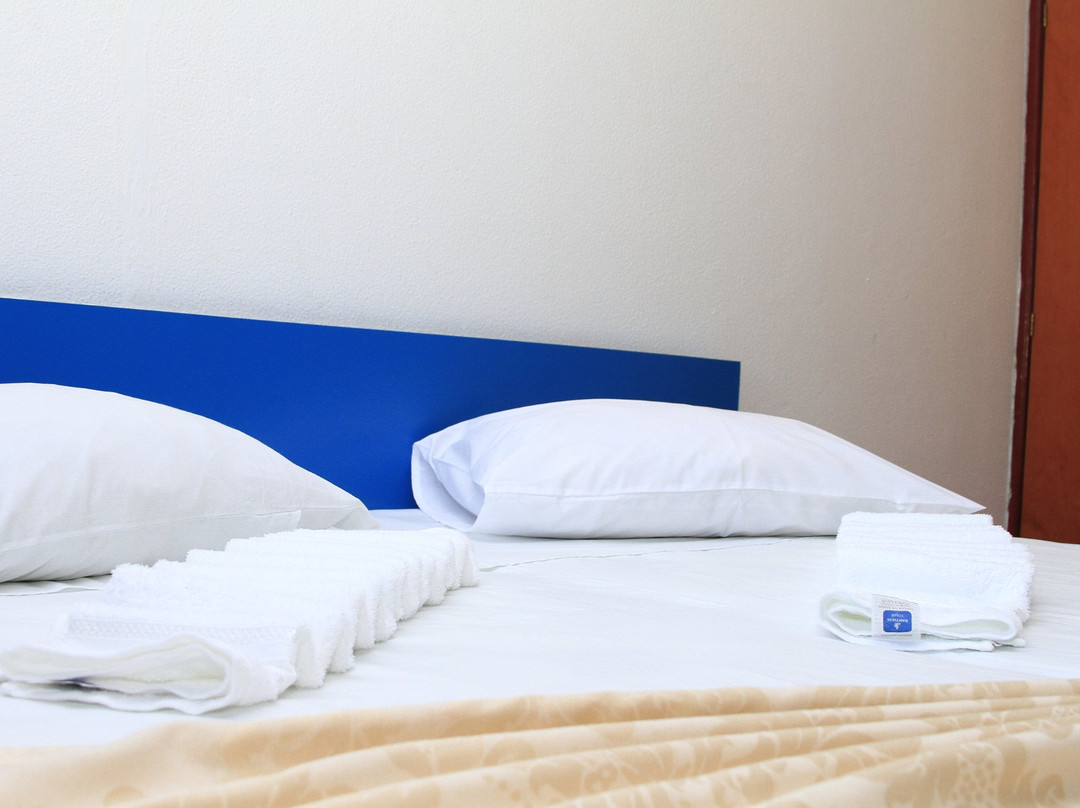 Caldas Palace Hotel主图