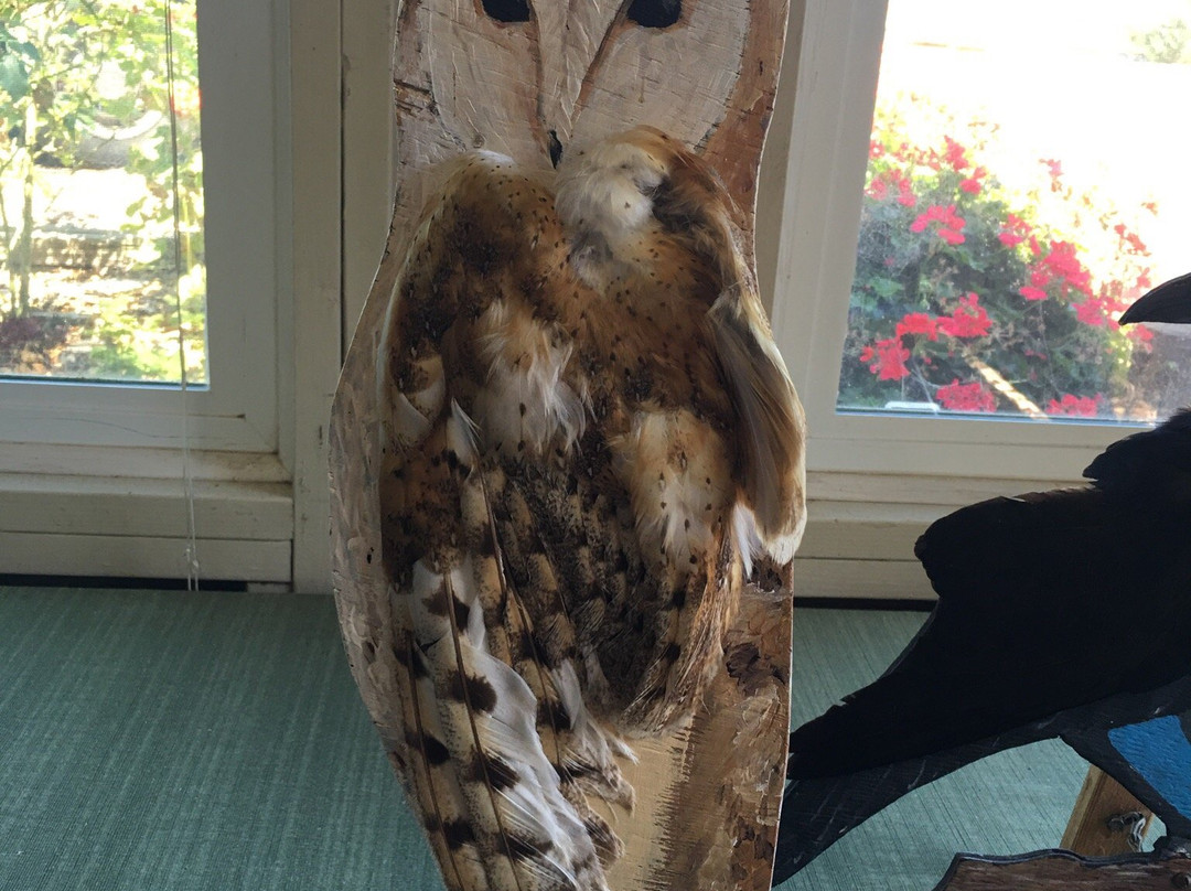 Sonoma County Wildlife Rescue景点图片
