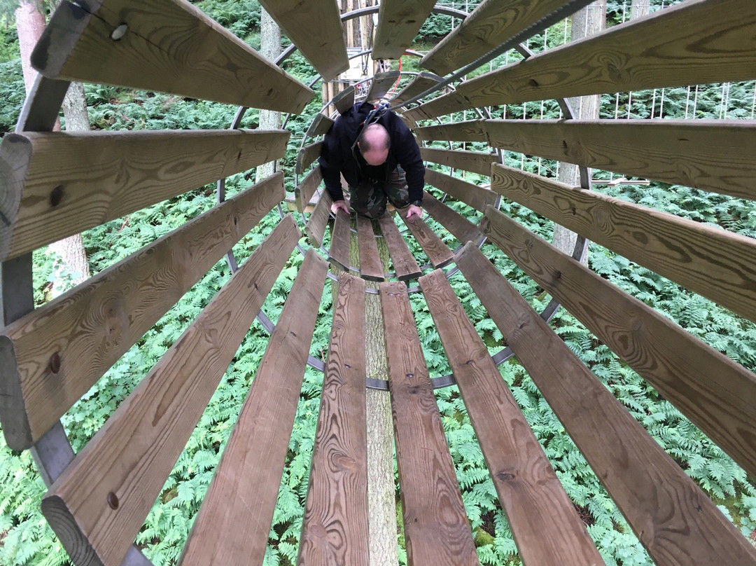 Go Ape Glentress Forest, Peebles-皮布尔斯必去景点