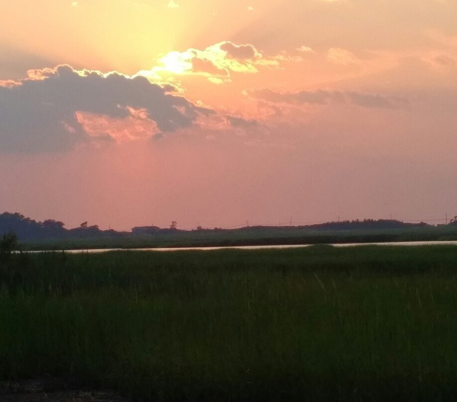 Harmony Vineyards-Head of the Harbor必去景点