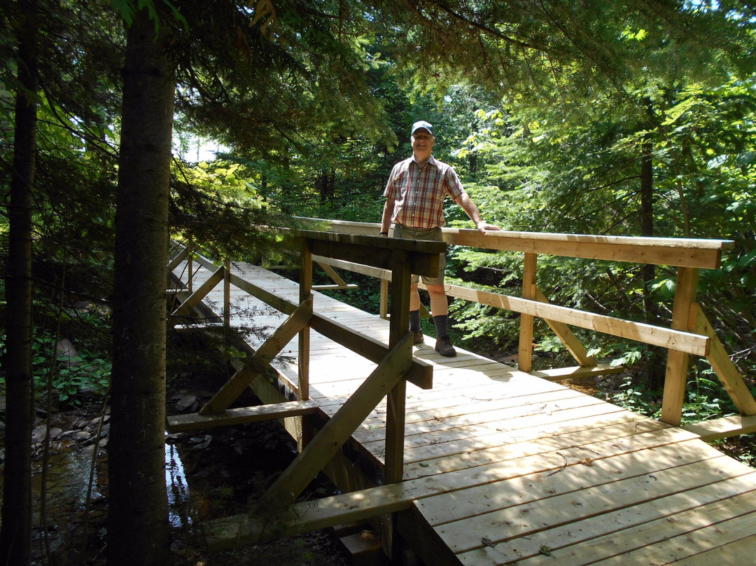 Au Jaune Soleil主图