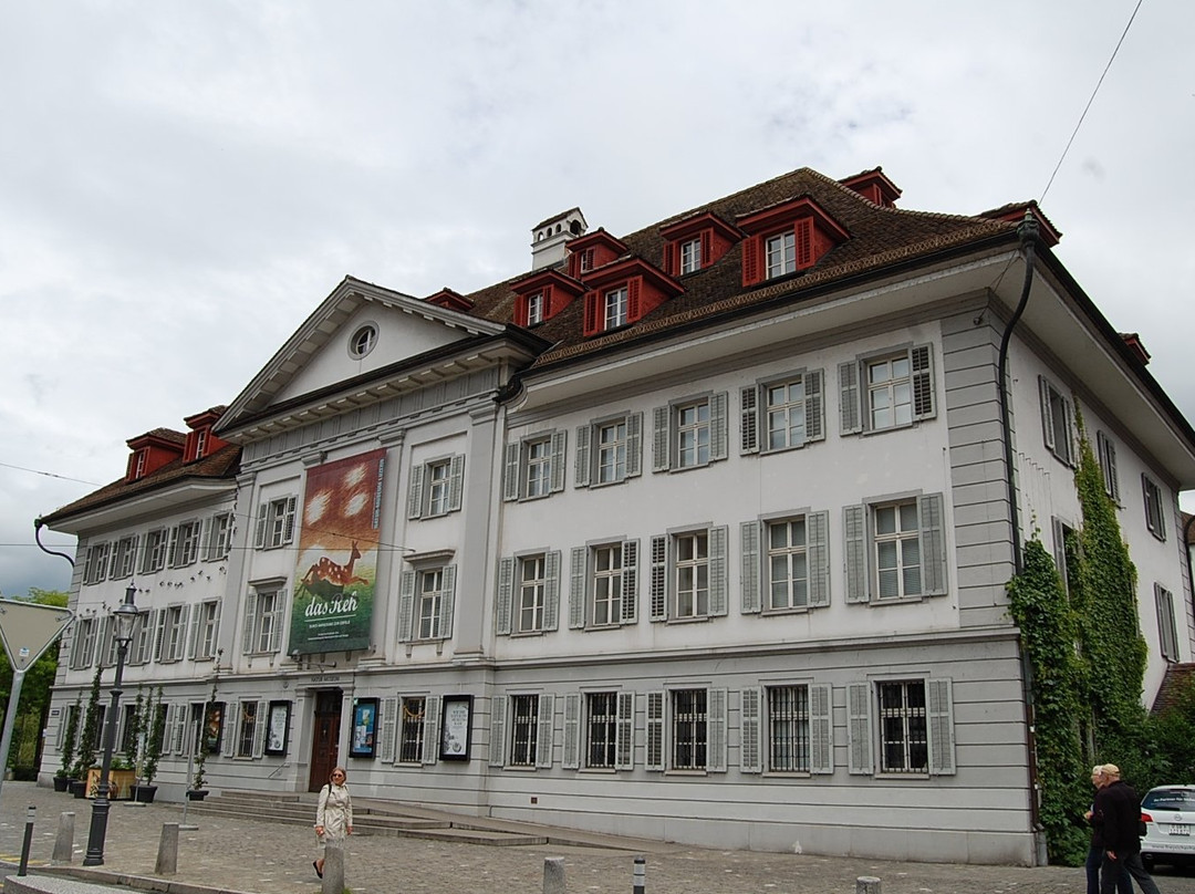 Natur-Museum Luzern-卢塞恩必去景点