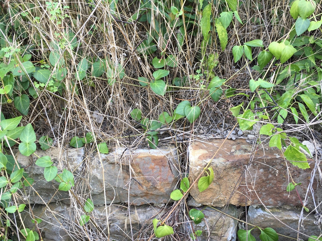 The London House: Site of Woody Guthrie's Boyhood Home-Okemah必去景点