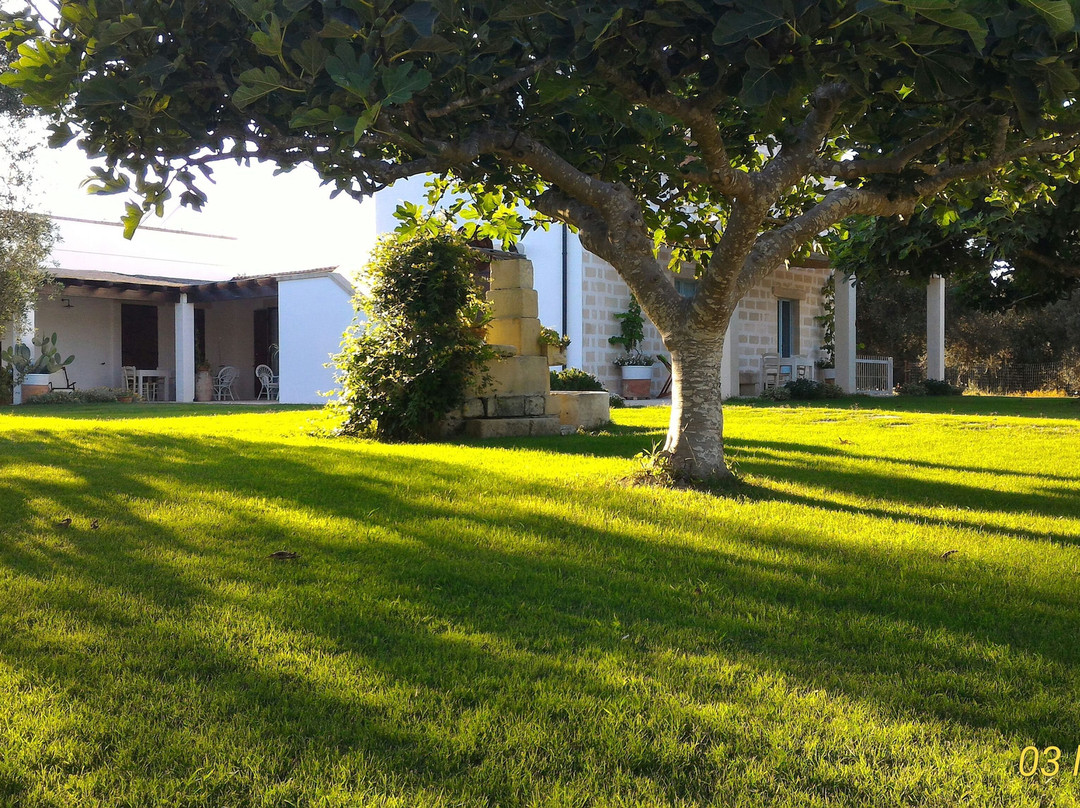 Masseria Vignenove