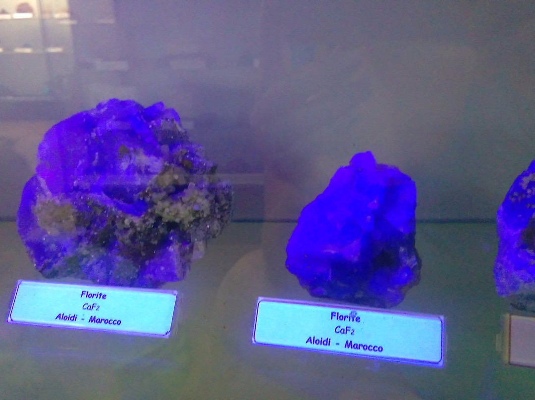 Museum of Natural History景点图片