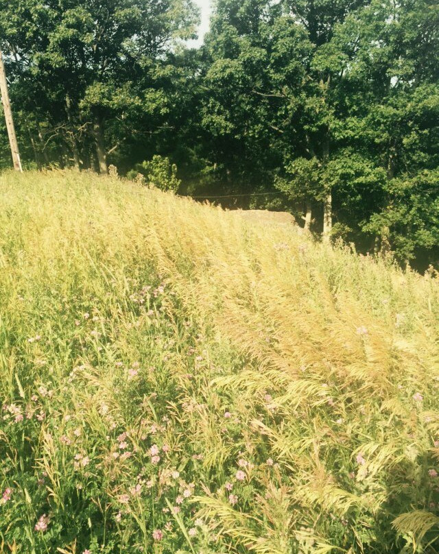 Tussey Mountain景点图片