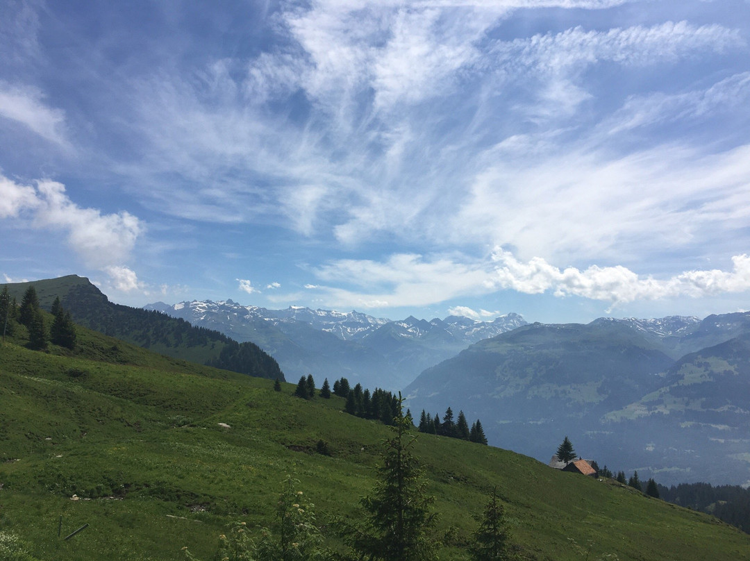 Oberschan旅游攻略图片