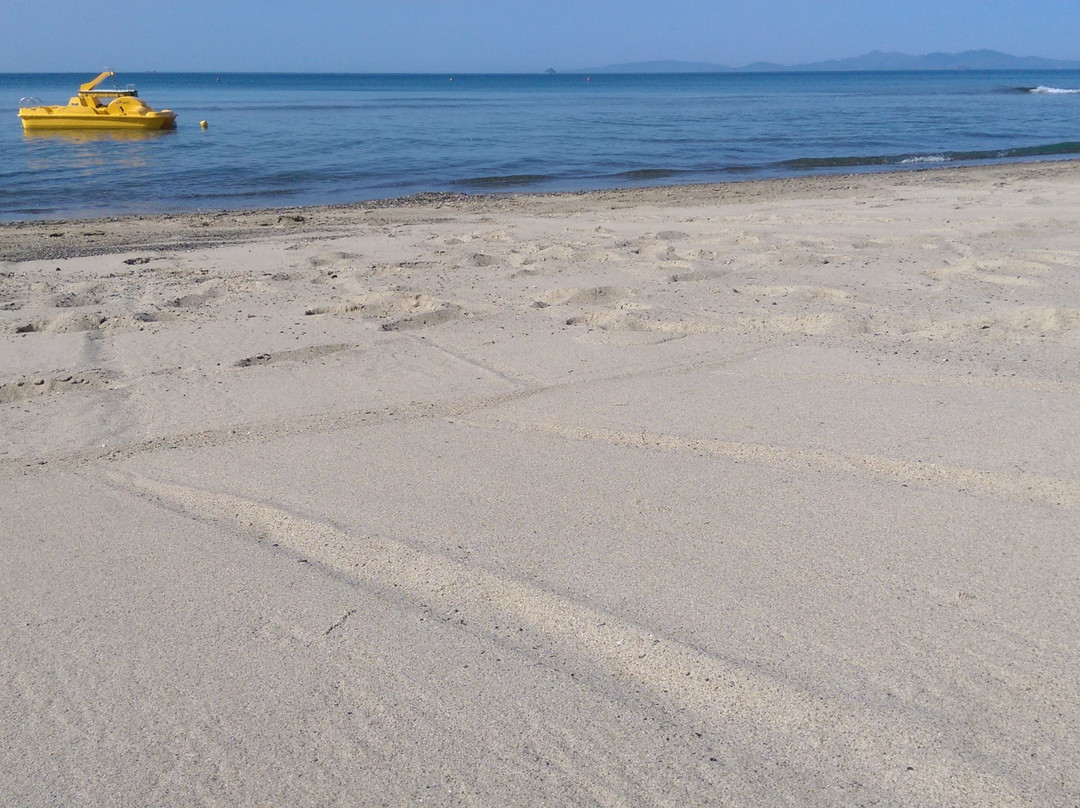 Orizzonte Beach-皮翁比诺必去景点