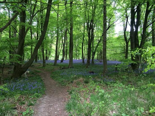 Benarty Hill Walk-Kelty必去景点