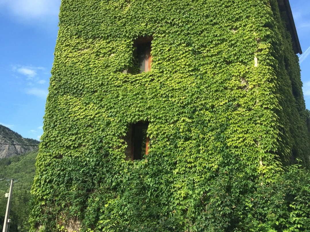 西贝里住宿加早餐旅馆