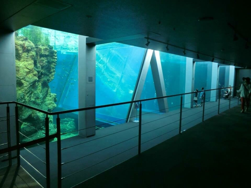福岛水族馆-盘城市必去景点