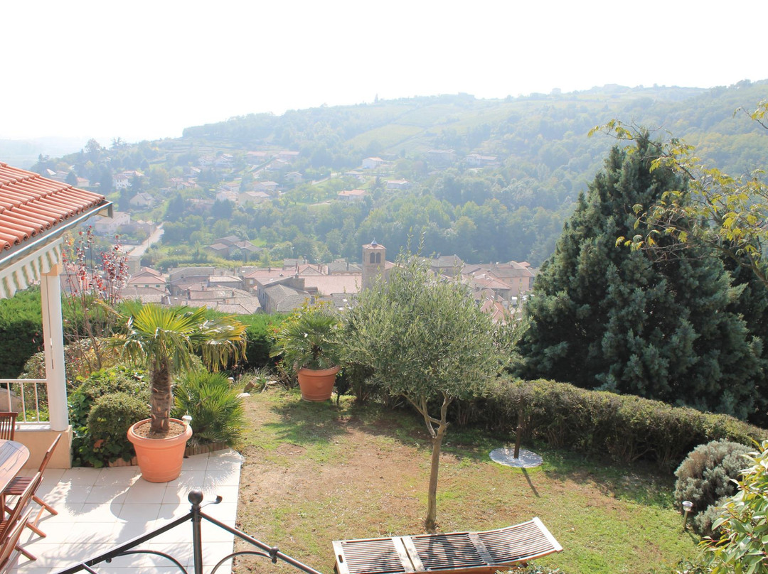 Wine Passion Panoramic
