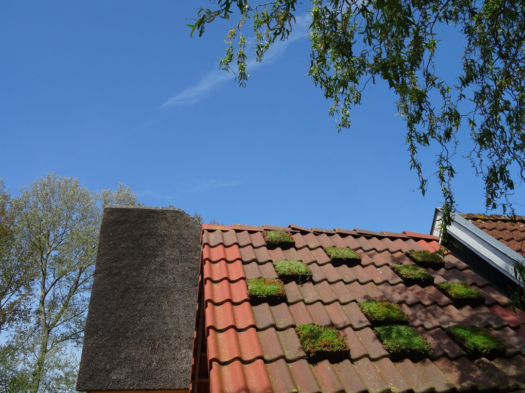 Speelboerderij Elsenhove景点图片