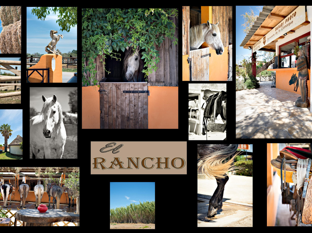 El Rancho景点图片
