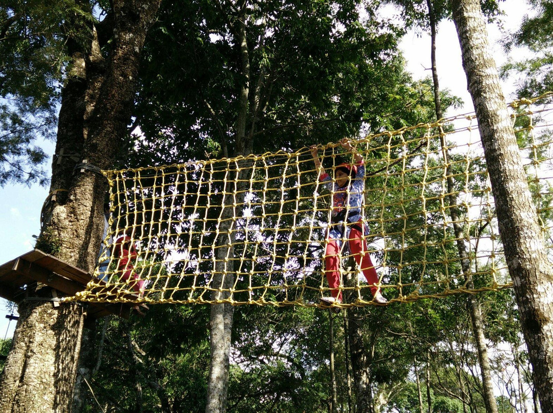TreeTop Adventure Park景点图片