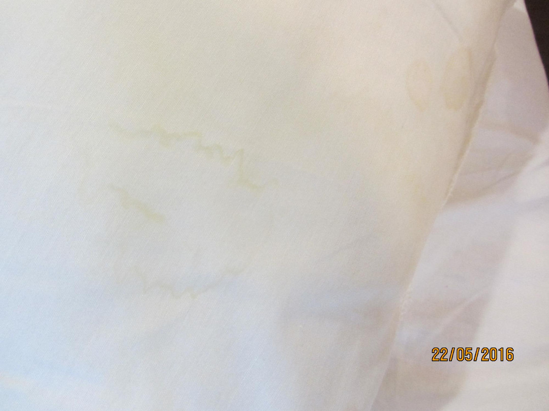 Hostal Casa Paco主图