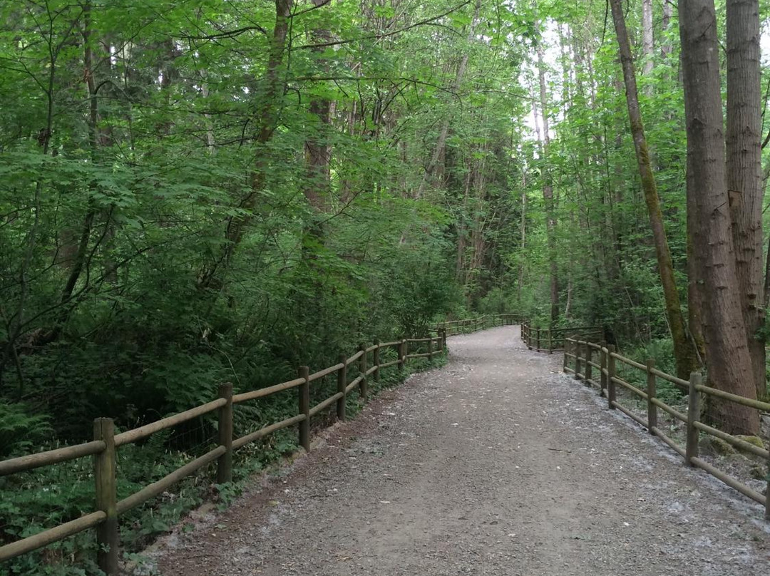 Mosquito Creek Hiking Trail-北温哥华必去景点
