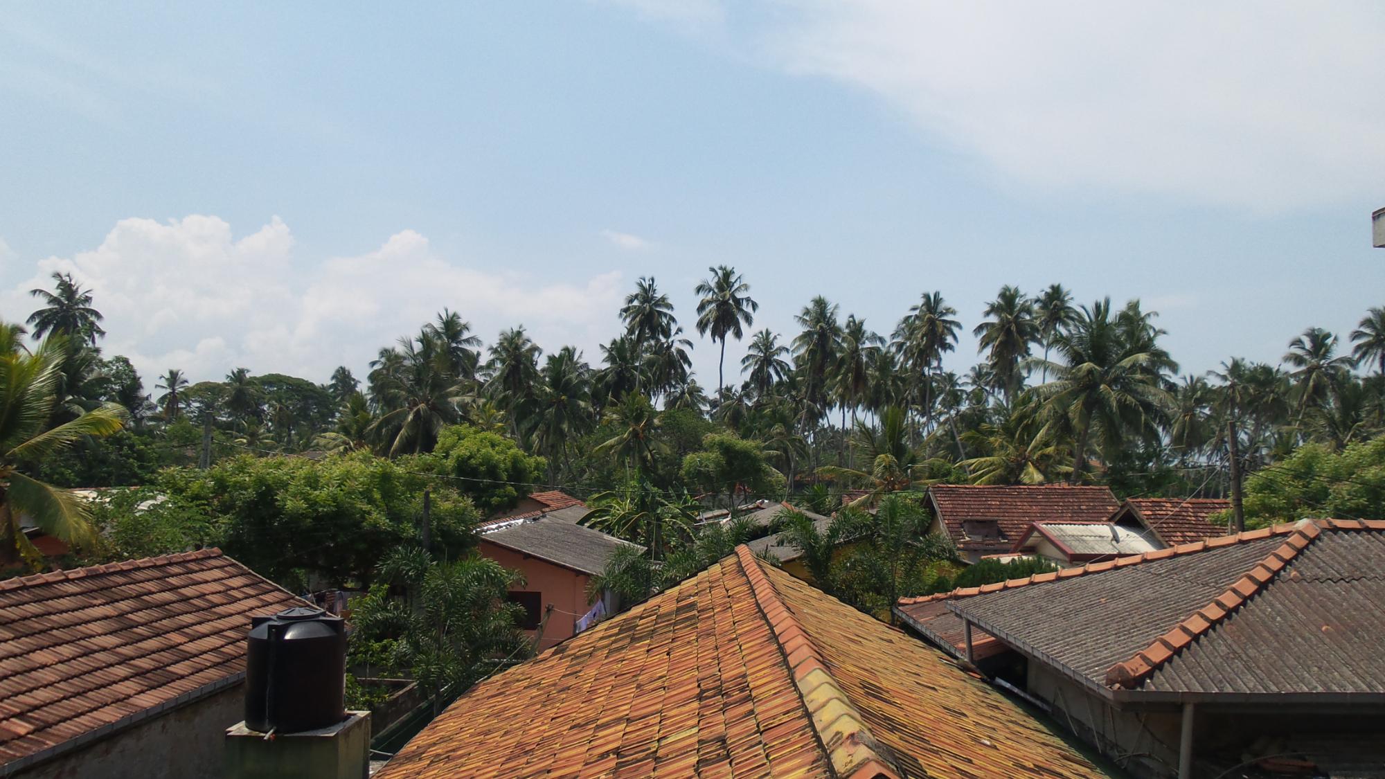 Oasis Wadduwa-酒店景观