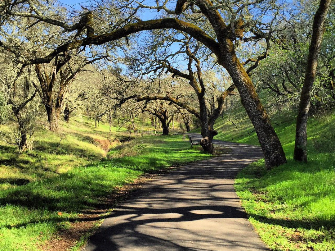 Sonoma Valley Regional Park景点图片