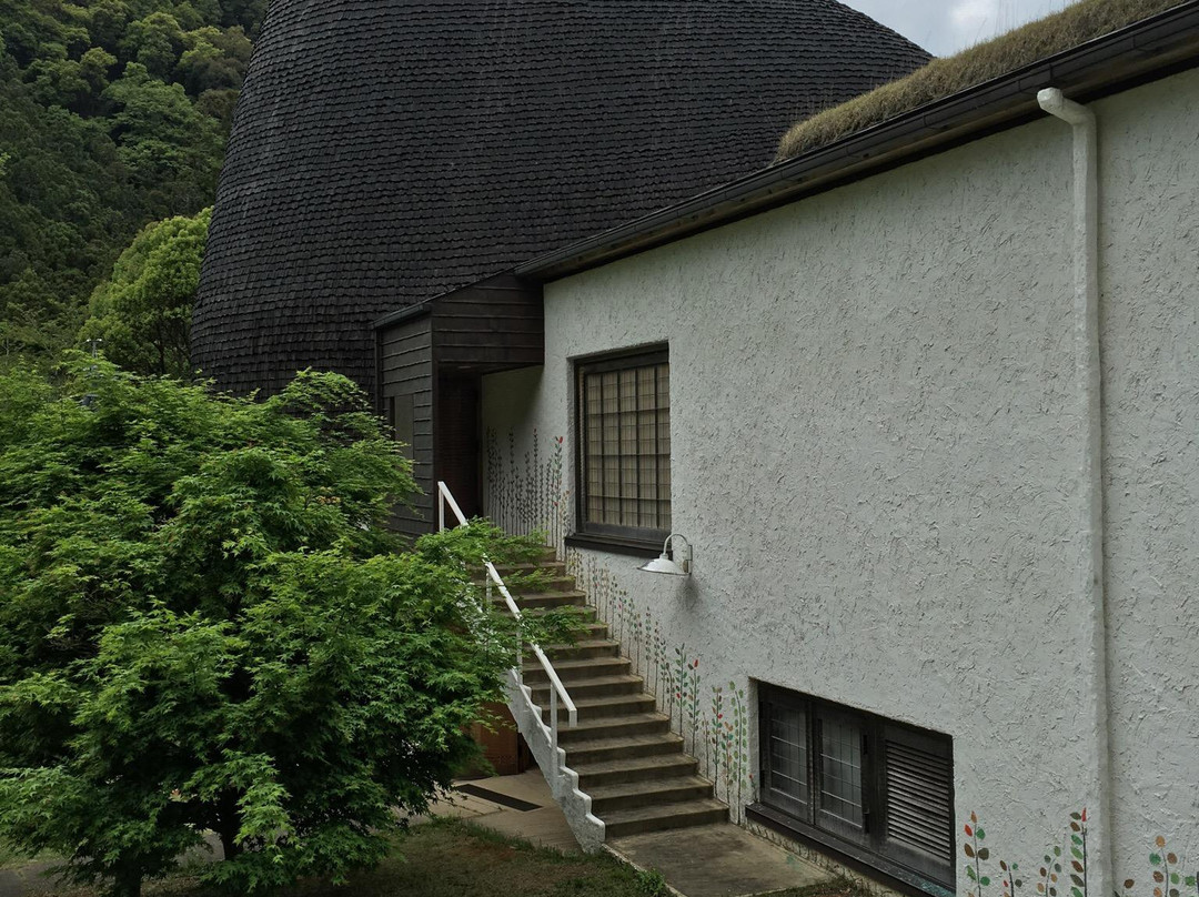 Nemunoki Child Museum景点图片