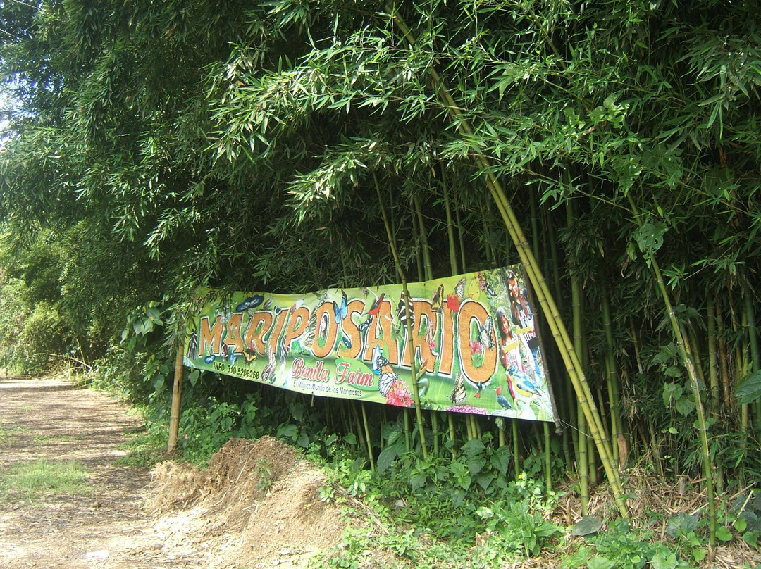 Bonita Farm-佩雷拉必去景点