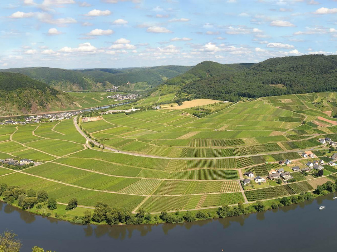 Weingut Hirschen-Schuster主图