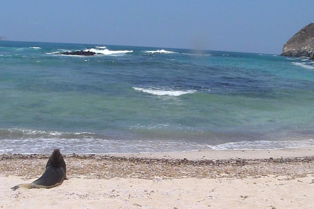 Cerro Brujo-圣克里斯托瓦尔必去景点