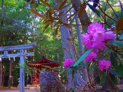 Hosshinmon Oji-田边市必去景点