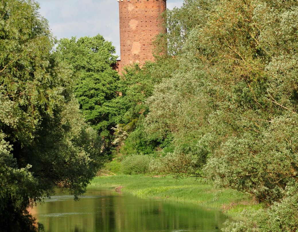 Teutonic Castle景点图片